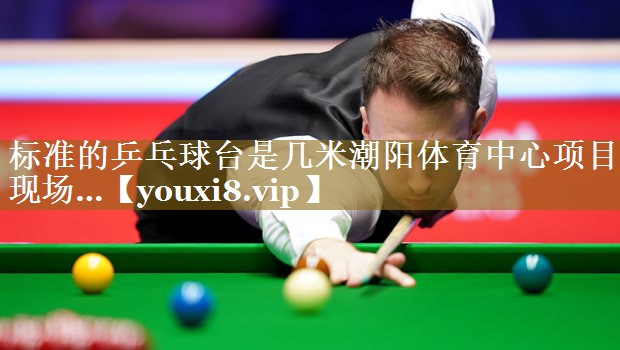 标准的乒乓球台是几米潮阳体育中心项目现场…