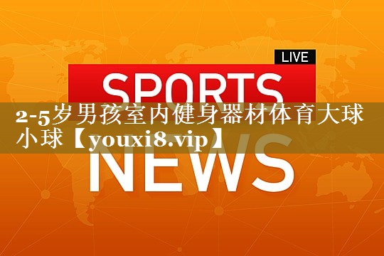 2-5岁男孩室内健身器材体育大球小球