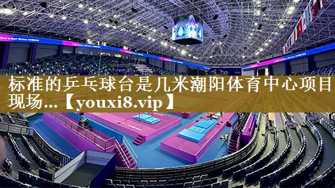 标准的乒乓球台是几米潮阳体育中心项目现场…