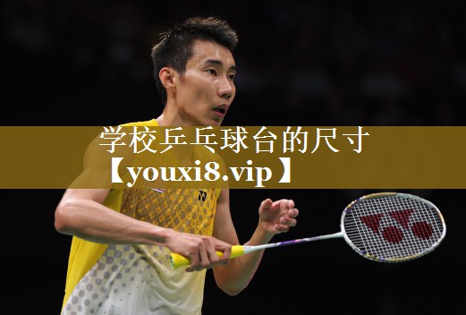 学校乒乓球台的尺寸
