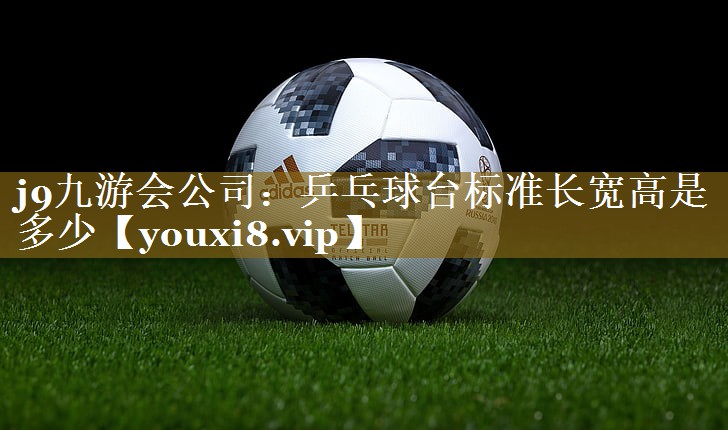 乒乓球台标准长宽高是多少