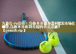 九游会·J9公司:乌鲁木齐健身器材批发市场在哪里,乌鲁木齐体育公园有什么设施?